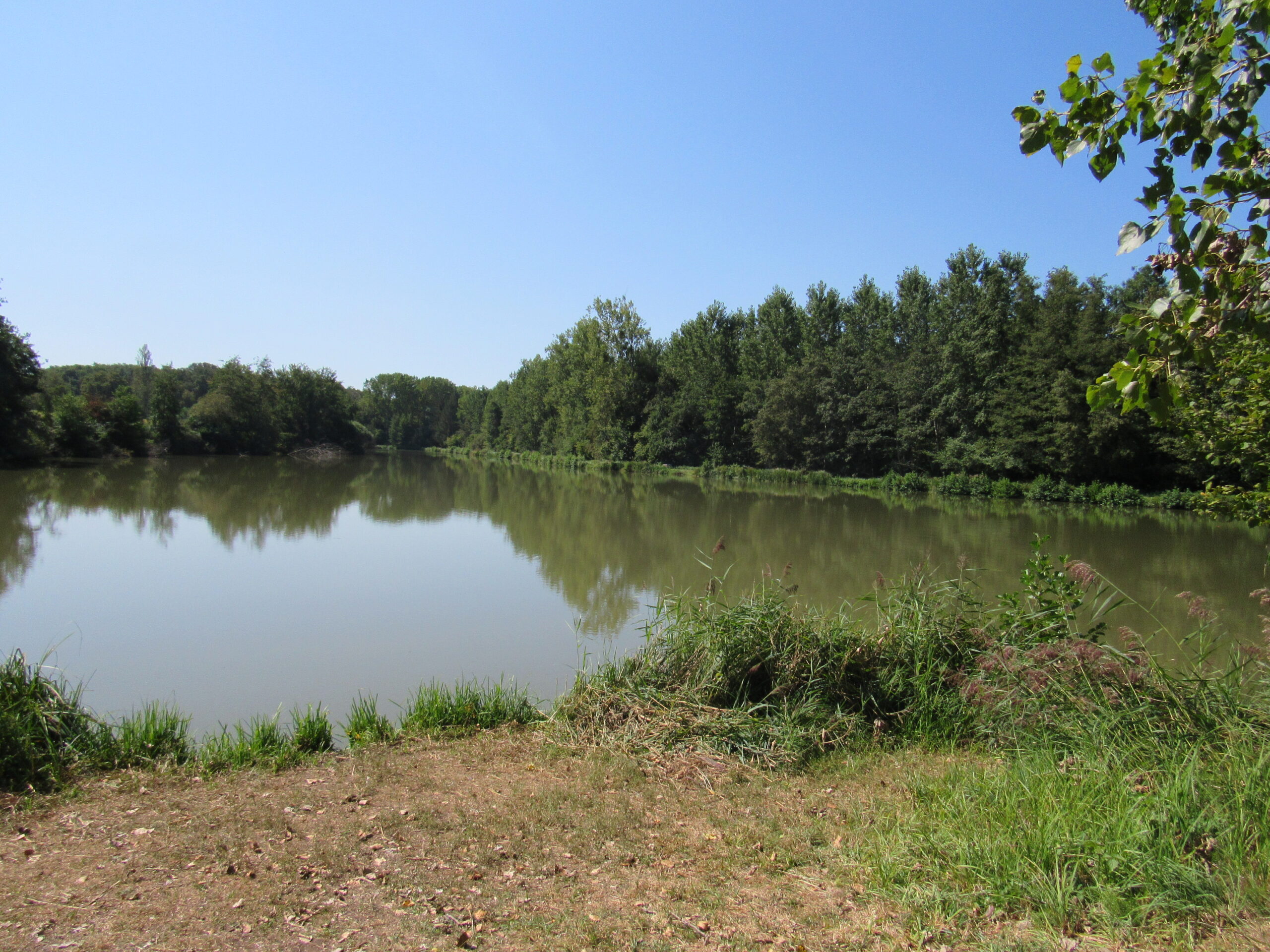 Lire la suite à propos de l’article Information en provenance de l’Agence de l’Eau