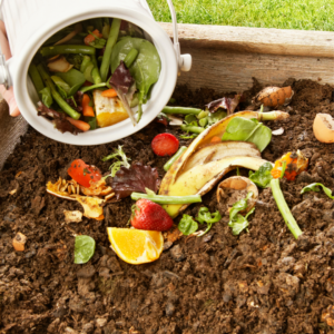 Lire la suite à propos de l’article Installation de bio-bornes pour vos déchets compostables